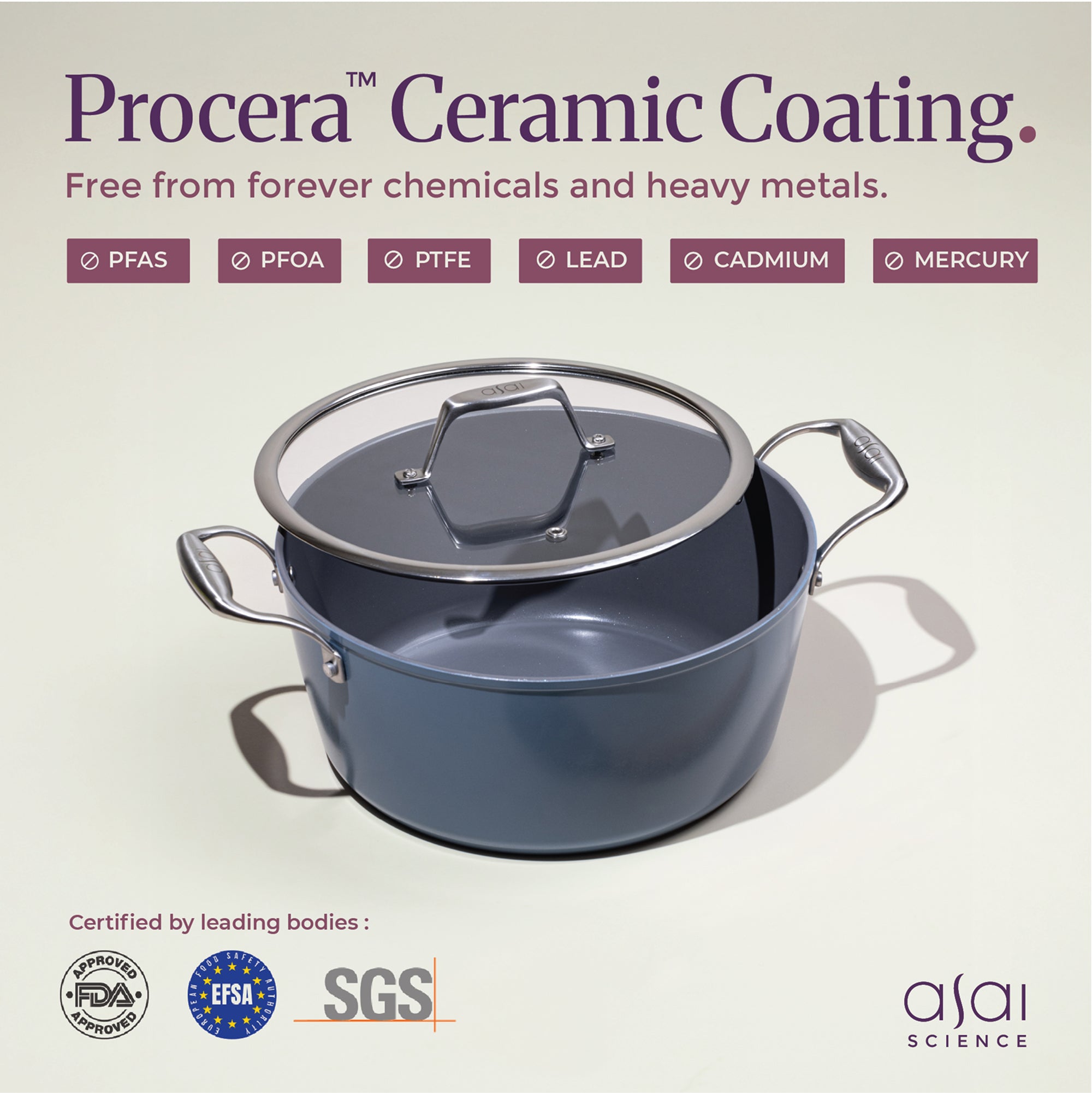 Ceramic Dutch Oven