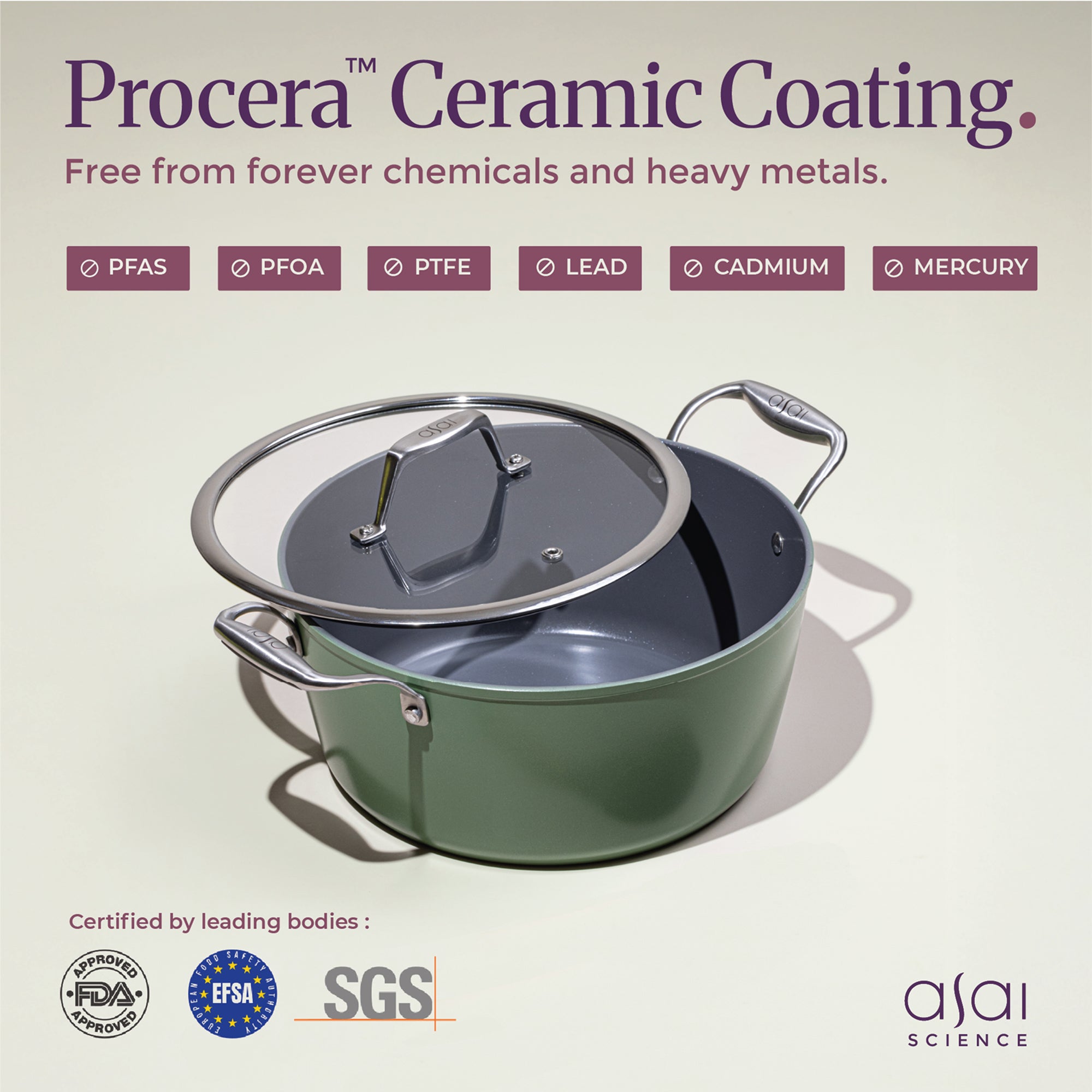 Ceramic Dutch Oven