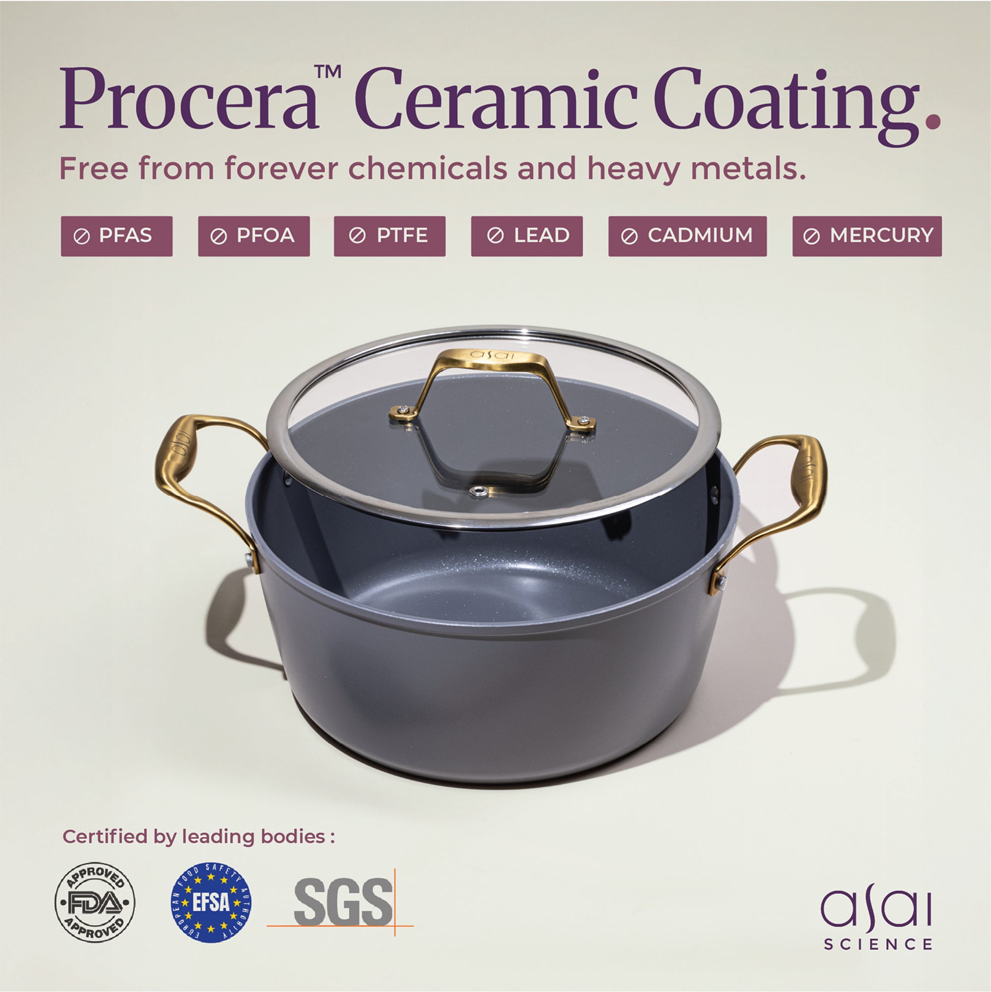 Ceramic Dutch Oven