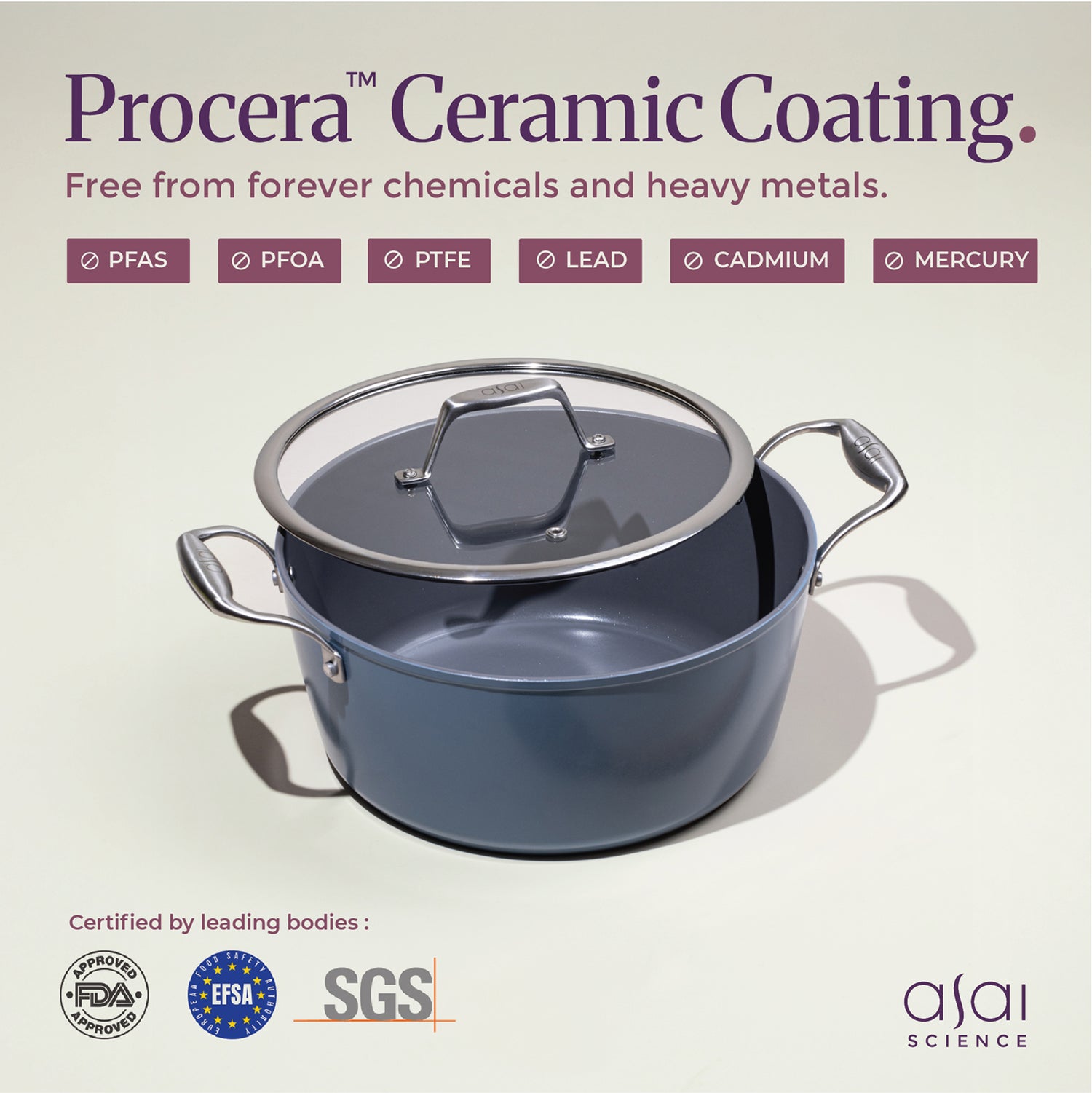 Ceramic Dutch Oven