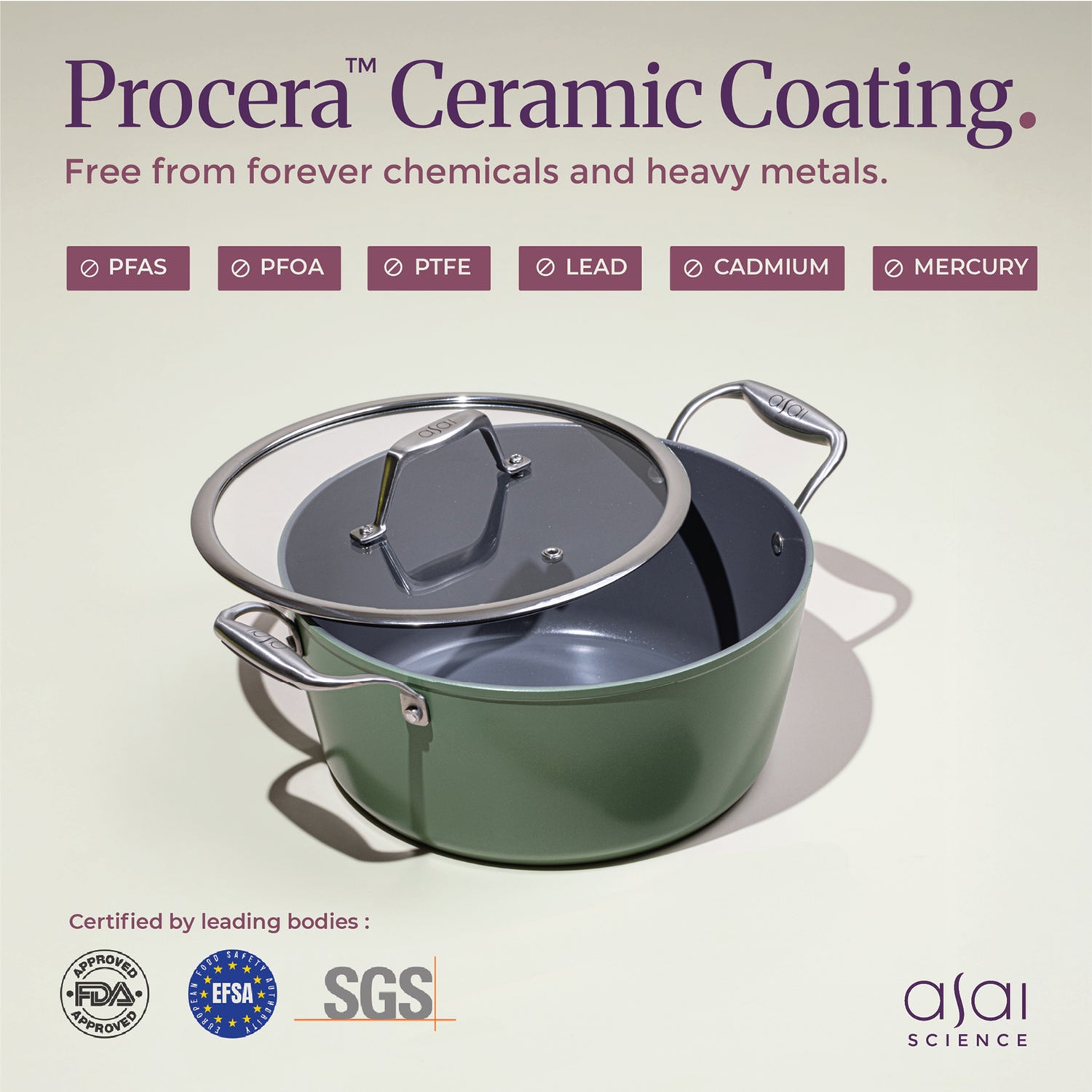 Ceramic Dutch Oven